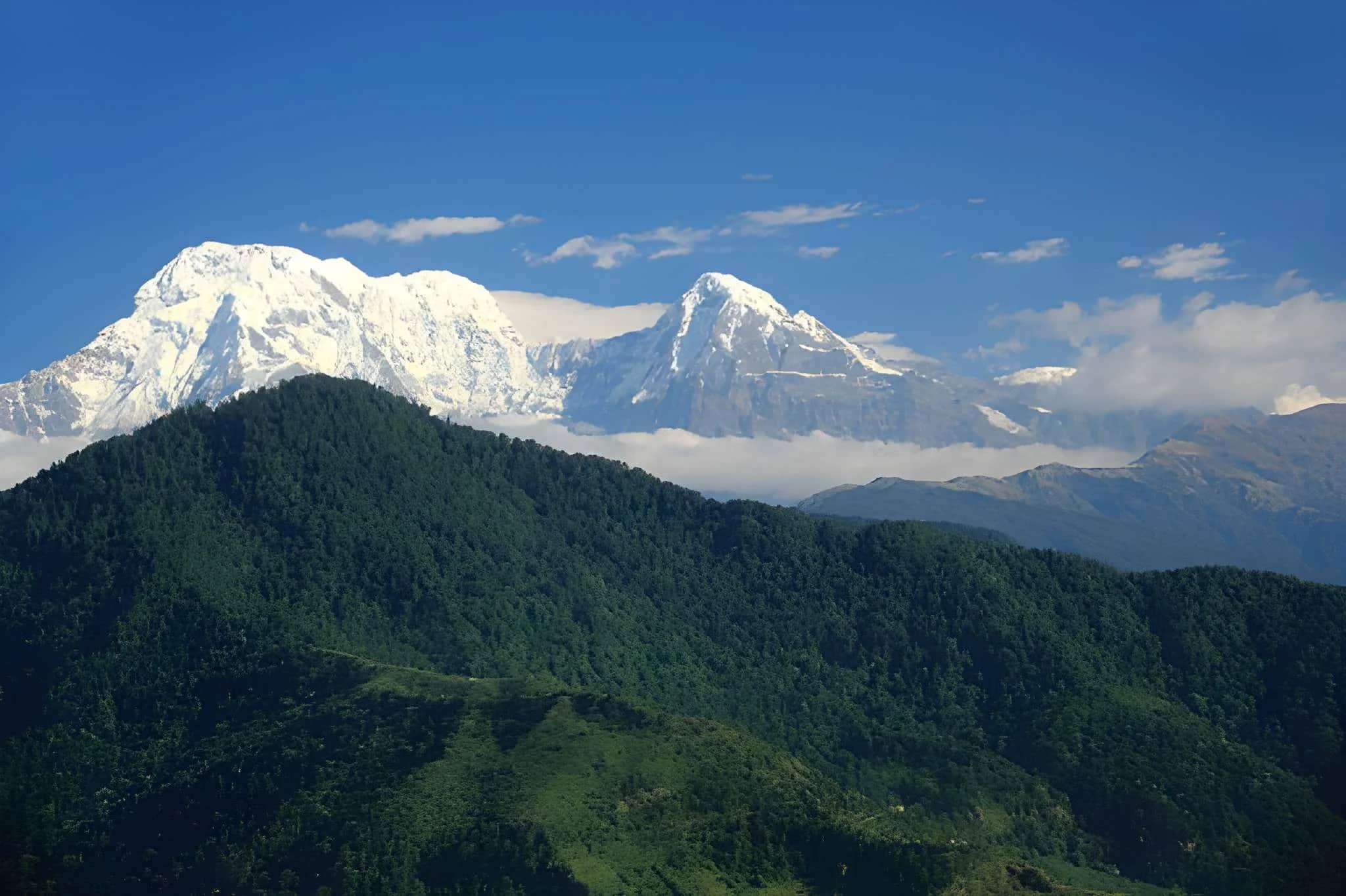 Image for Luxury Tour with Dhampus Trek