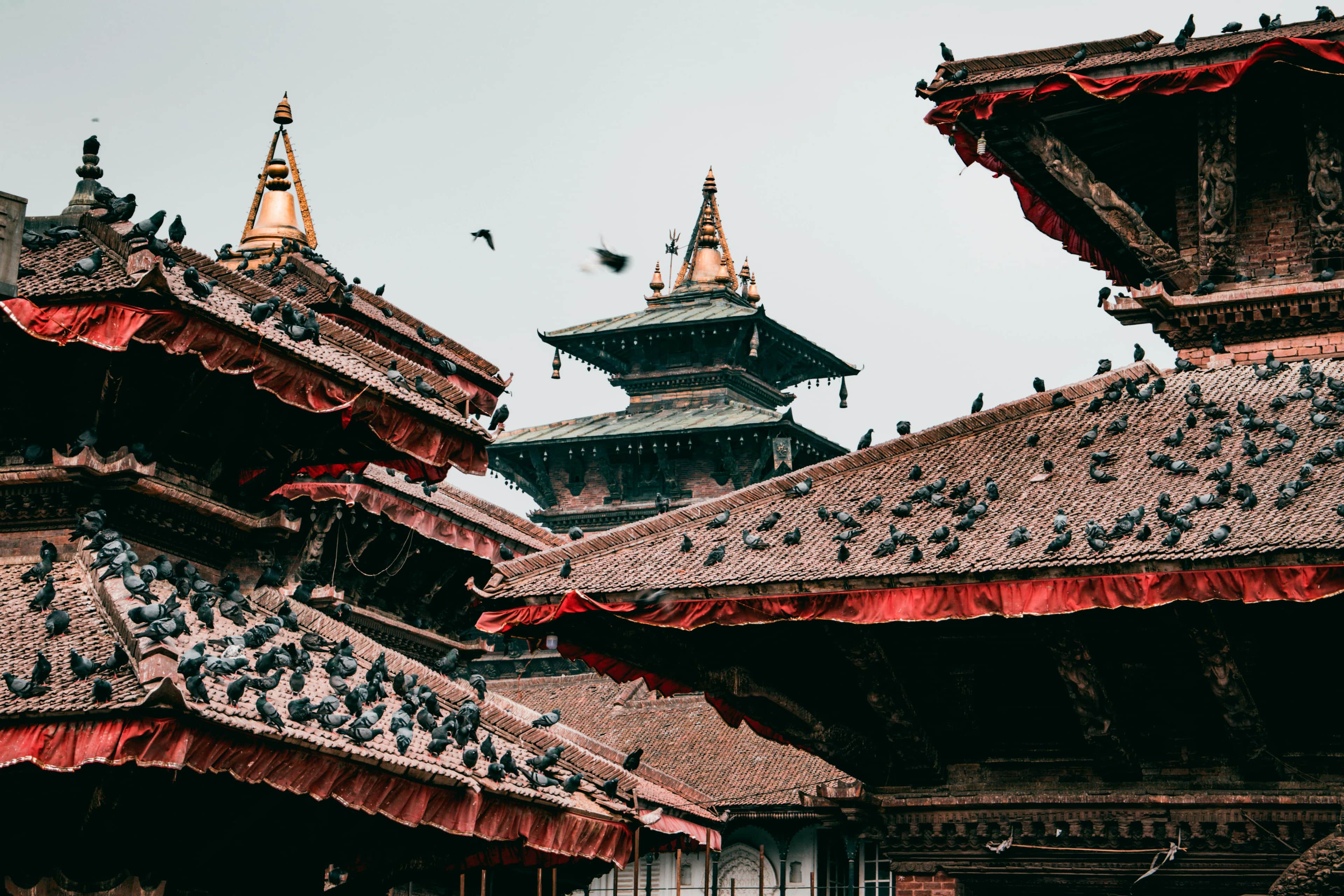 Image for 7 Days Nepal tour